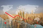Мало нефтяного кризиса: из-за засухи теперь дорожает и продовольствие