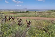 Посланник Трампа назвал Голанские высоты оккупированной сирийской территорией