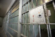 Растлитель 11-летней дочки новых репатриантов умер в тюрьме через два месяца после приговора