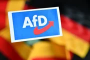 Германия не может оправиться от шока победы AfD в Саксонии