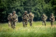 Европейская разведка заявляет, что нападение на НАТО - вопрос не лет, а месяцев