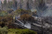 Лесной пожар под Бейт-Шемешем: задействовано 6 пожарных самолетов
