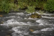 Объем доступных природных водных ресурсов в Израиле - самый низкий за последние 100 лет