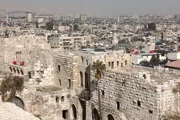 Сирийские СМИ обвинили ЦАХАЛ в убийстве инвалида с синдромом Дауна