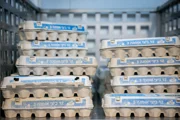 С 1 ноября в Израиле подорожают яйца: цены растут «автоматически», реформа отрасли заморожена