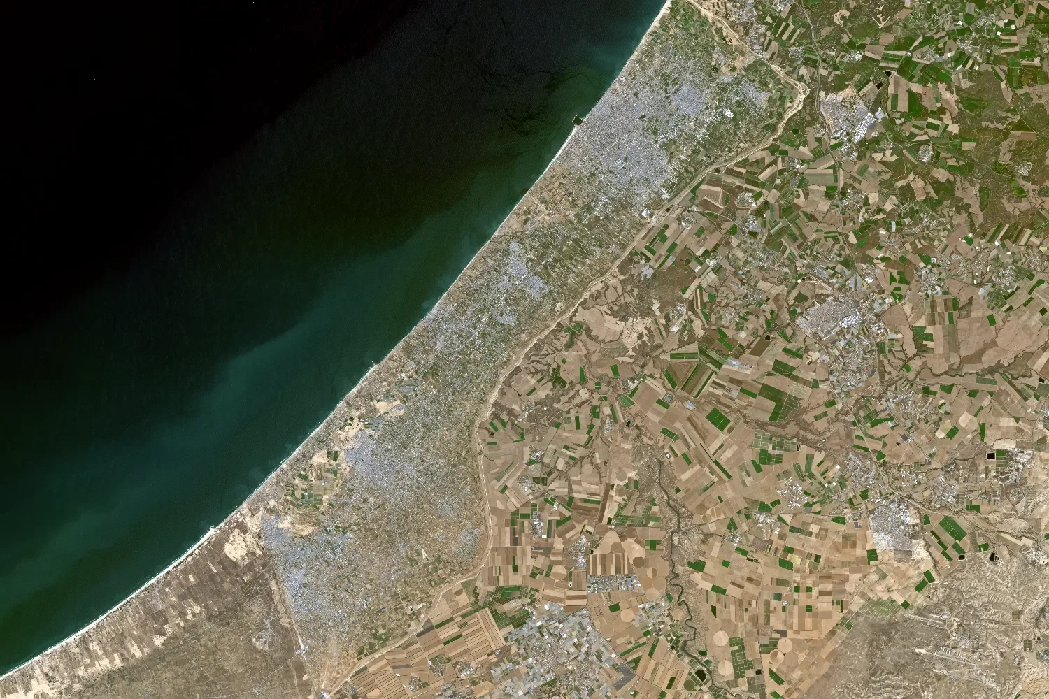 ЦАХАЛ: «Ночью были уничтожены десятки командиров ХАМАСа, в том числе участники нападения на Израиль»  ЦАХАЛ: «Ночью были уничтожены десятки командиров ХАМАСа, в том числе участники нападения на Израиль»