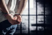 17-летний подозреваемый признался в убийстве супругов Приходько
