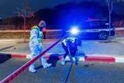 Полиция считает взрыв автомобиля на шоссе Аялон делом рук наемных киллеров