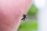 Израильтянка, вернувшаяся из отпуска, госпитализирована с малярией