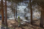 В Бен-Шемене горит лес. Шоссе 6 закрыто в районе развязки Даниэль